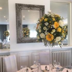 fwthumbdownload (3).jpg